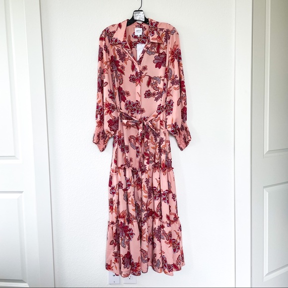 MISA Los Angeles Esmee Maxi Dress in Paisley - Picture 7 of 11
